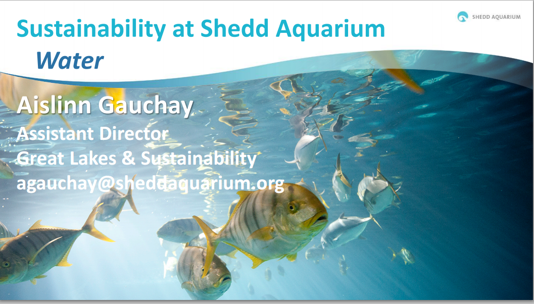 Title Slide: Sustainability at Shedd Aquarium
